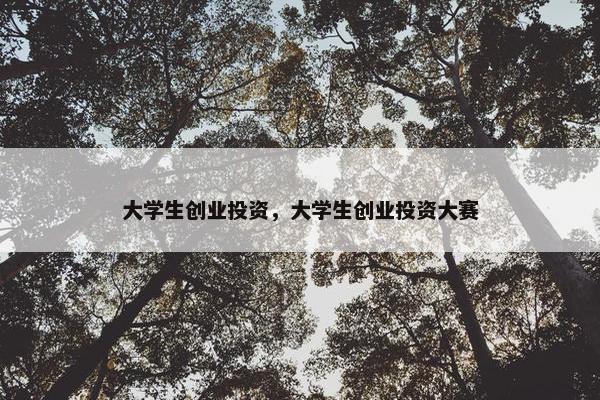 大学生创业投资，大学生创业投资大赛