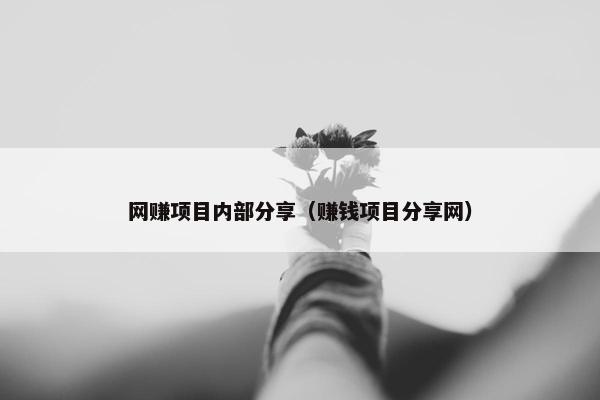 网赚项目内部分享（赚钱项目分享网）