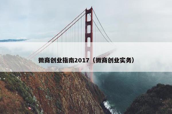 微商创业指南2017（微商创业实务）