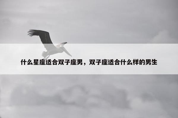 什么星座适合双子座男，双子座适合什么样的男生