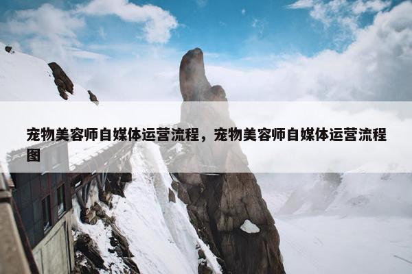 宠物美容师自媒体运营流程，宠物美容师自媒体运营流程图