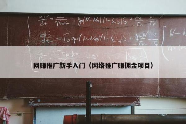 网赚推广新手入门（网络推广赚佣金项目）