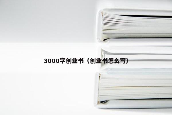 3000字创业书（创业书怎么写）