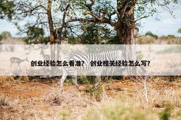 创业经验怎么看准？ 创业相关经验怎么写？
