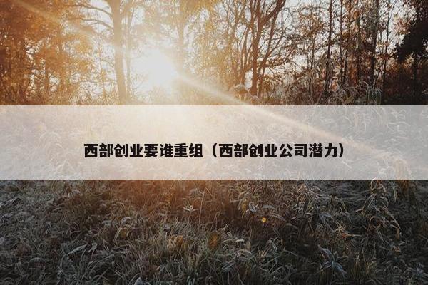 西部创业要谁重组（西部创业公司潜力）