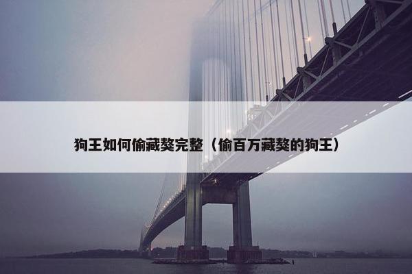 狗王如何偷藏獒完整（偷百万藏獒的狗王）