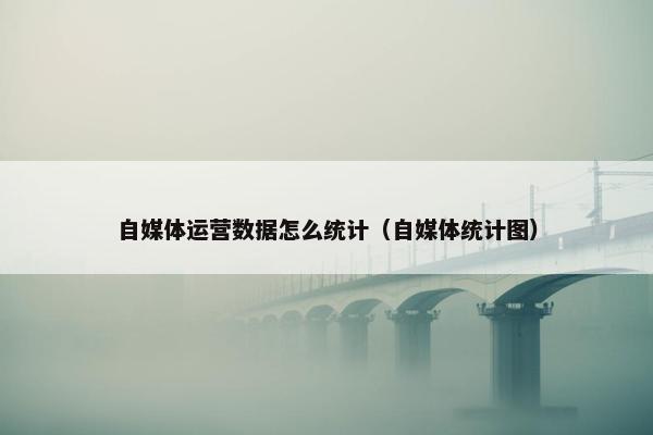 自媒体运营数据怎么统计（自媒体统计图）