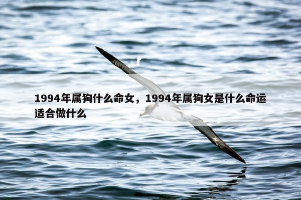 1994年属狗什么命女，1994年属狗女是什么命运适合做什么