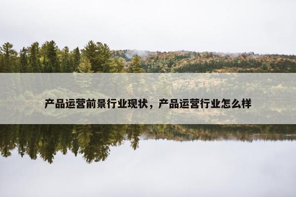 产品运营前景行业现状，产品运营行业怎么样