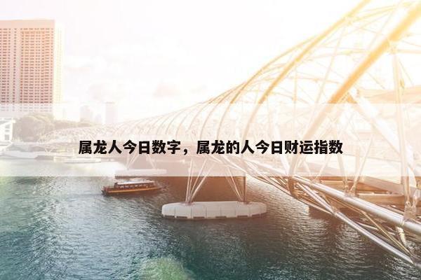 属龙人今日数字，属龙的人今日财运指数