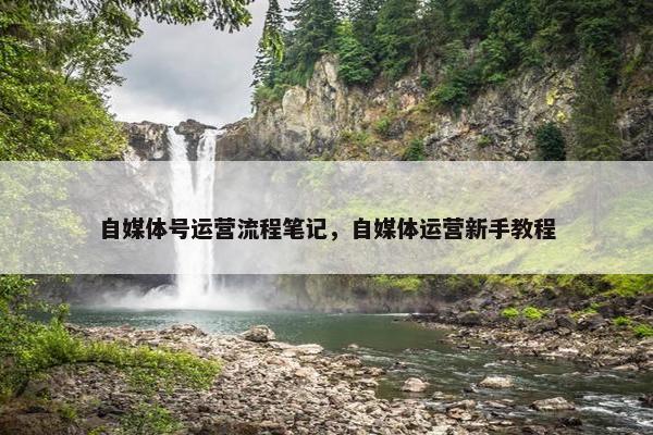 自媒体号运营流程笔记，自媒体运营新手教程