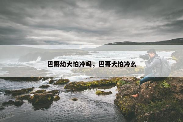 巴哥幼犬怕冷吗，巴哥犬怕冷么