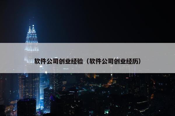 软件公司创业经验（软件公司创业经历）