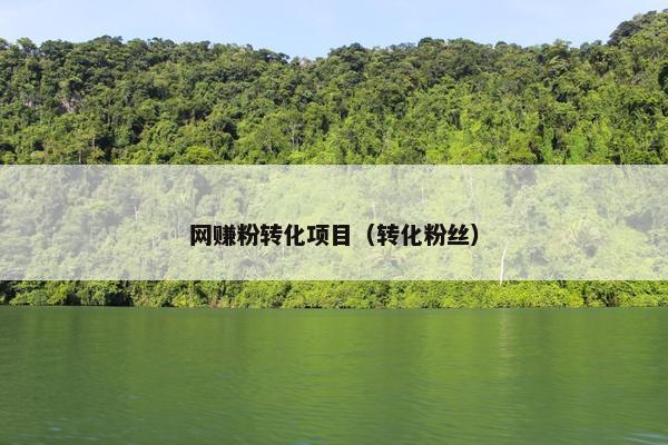 网赚粉转化项目（转化粉丝）