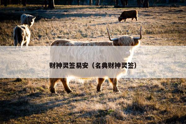 财神灵签易安（名典财神灵签）