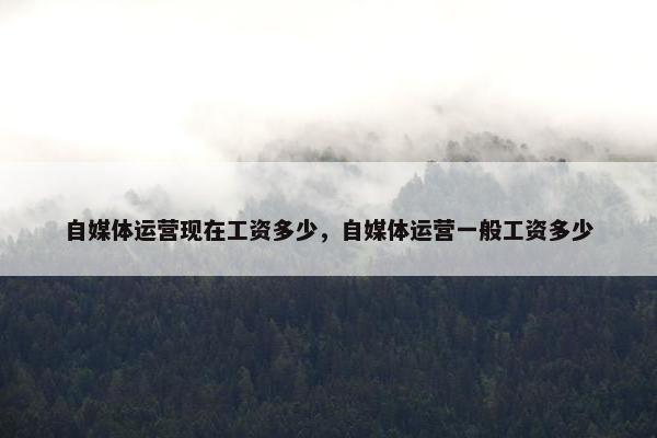 自媒体运营现在工资多少，自媒体运营一般工资多少