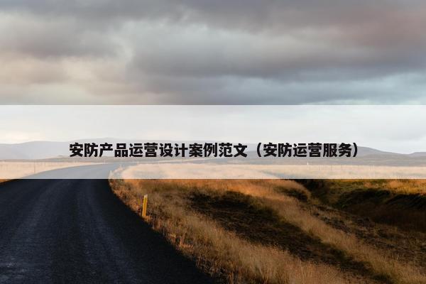 安防产品运营设计案例范文（安防运营服务）