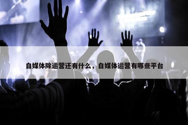 自媒体除运营还有什么，自媒体运营有哪些平台