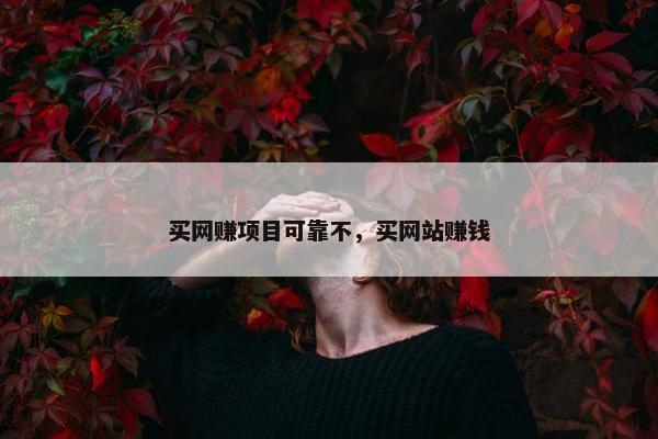 买网赚项目可靠不，买网站赚钱