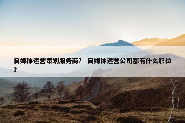自媒体运营策划服务商？ 自媒体运营公司都有什么职位？
