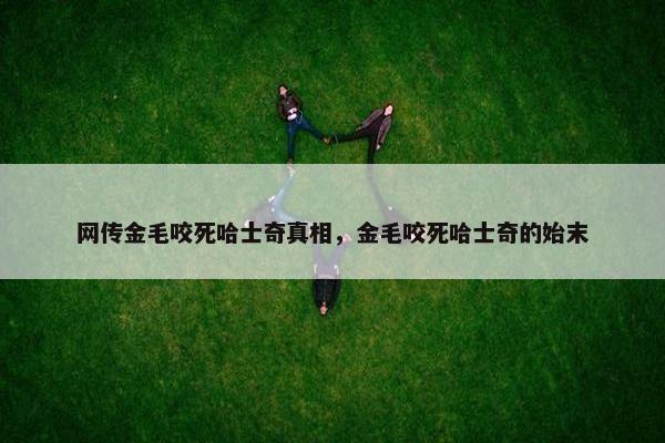 网传金毛咬死哈士奇真相，金毛咬死哈士奇的始末