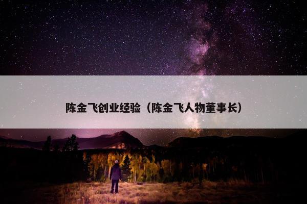 陈金飞创业经验（陈金飞人物董事长）