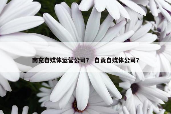南充自媒体运营公司？ 自贡自媒体公司？