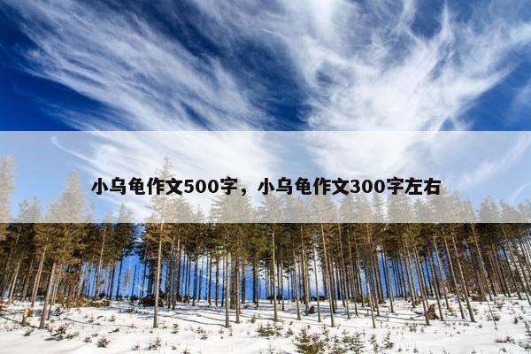 小乌龟作文500字，小乌龟作文300字左右