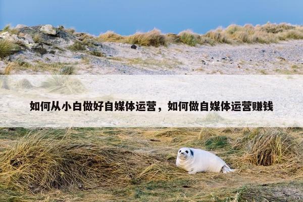 如何从小白做好自媒体运营，如何做自媒体运营赚钱