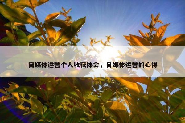 自媒体运营个人收获体会，自媒体运营的心得
