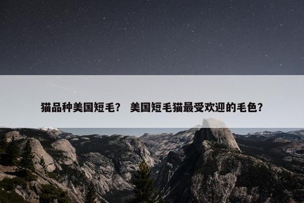 猫品种美国短毛？ 美国短毛猫最受欢迎的毛色？