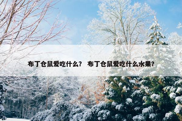 布丁仓鼠爱吃什么？ 布丁仓鼠爱吃什么水果？