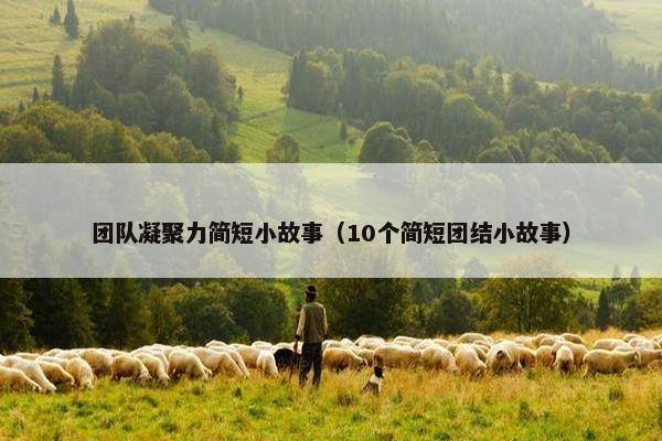 团队凝聚力简短小故事（10个简短团结小故事）