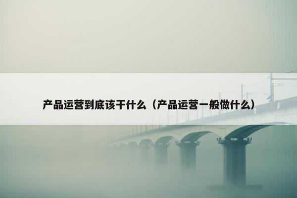 产品运营到底该干什么（产品运营一般做什么）