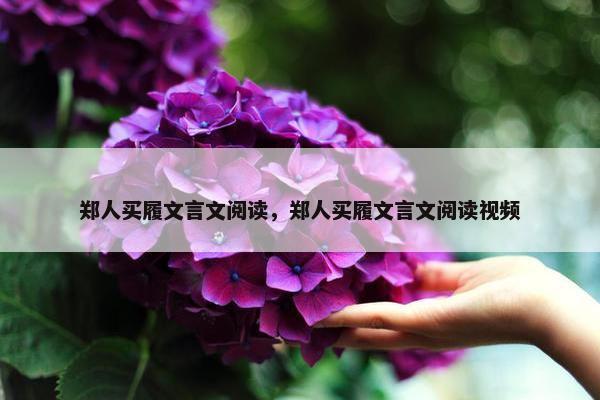 郑人买履文言文阅读，郑人买履文言文阅读视频
