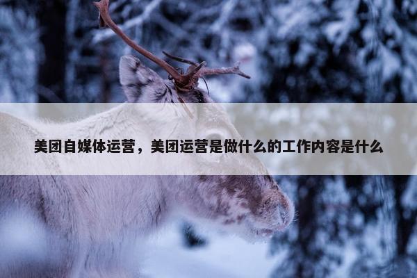 美团自媒体运营，美团运营是做什么的工作内容是什么