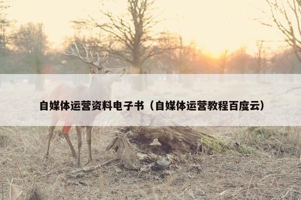 自媒体运营资料电子书（自媒体运营教程百度云）