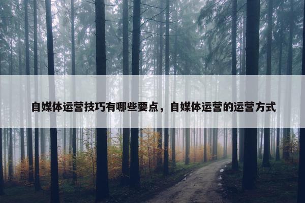 自媒体运营技巧有哪些要点，自媒体运营的运营方式