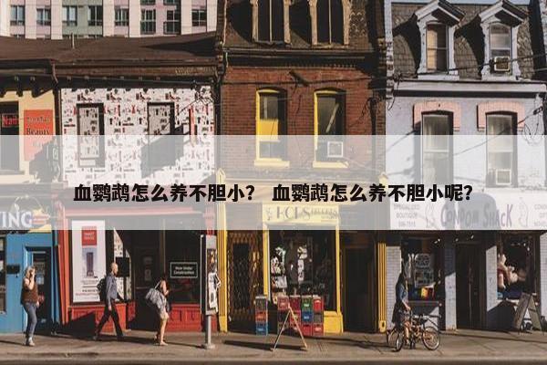 血鹦鹉怎么养不胆小？ 血鹦鹉怎么养不胆小呢？
