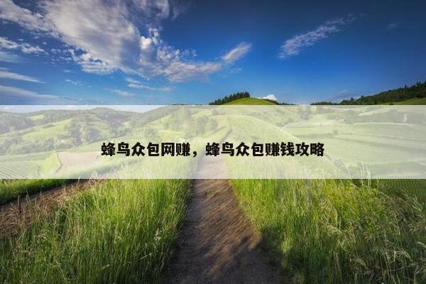 蜂鸟众包网赚，蜂鸟众包赚钱攻略