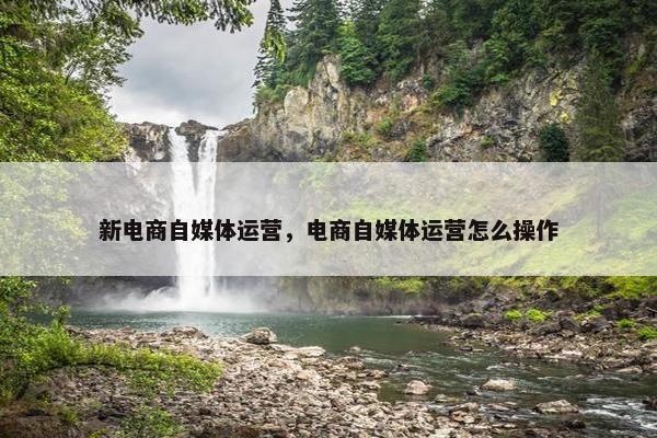 新电商自媒体运营，电商自媒体运营怎么操作