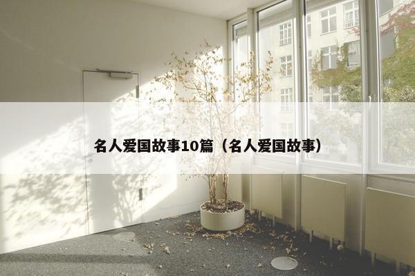 名人爱国故事10篇（名人爱国故事）