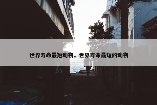 世界寿命最短动物，世界寿命最短的动物
