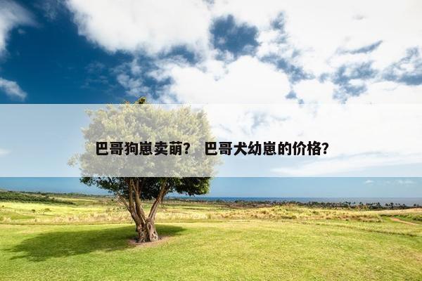 巴哥狗崽卖萌？ 巴哥犬幼崽的价格？