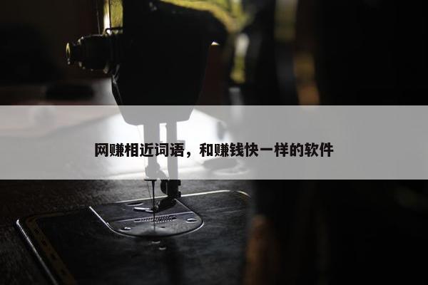 网赚相近词语，和赚钱快一样的软件