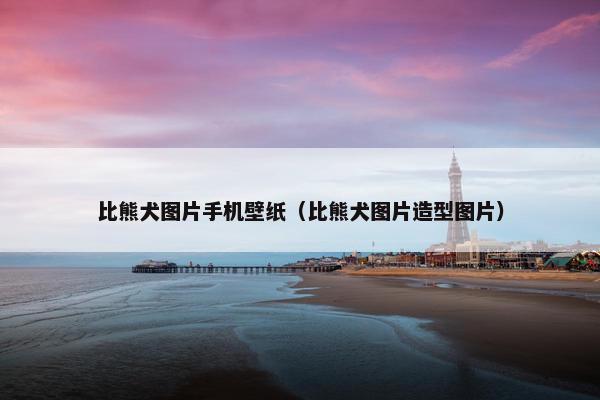 比熊犬图片手机壁纸（比熊犬图片造型图片）