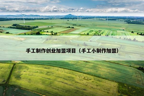 手工制作创业加盟项目（手工小制作加盟）