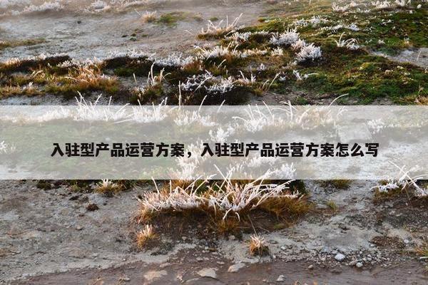 入驻型产品运营方案，入驻型产品运营方案怎么写