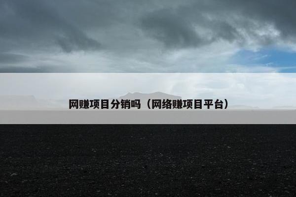 网赚项目分销吗（网络赚项目平台）