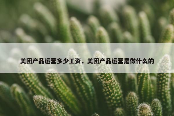 美团产品运营多少工资，美团产品运营是做什么的
